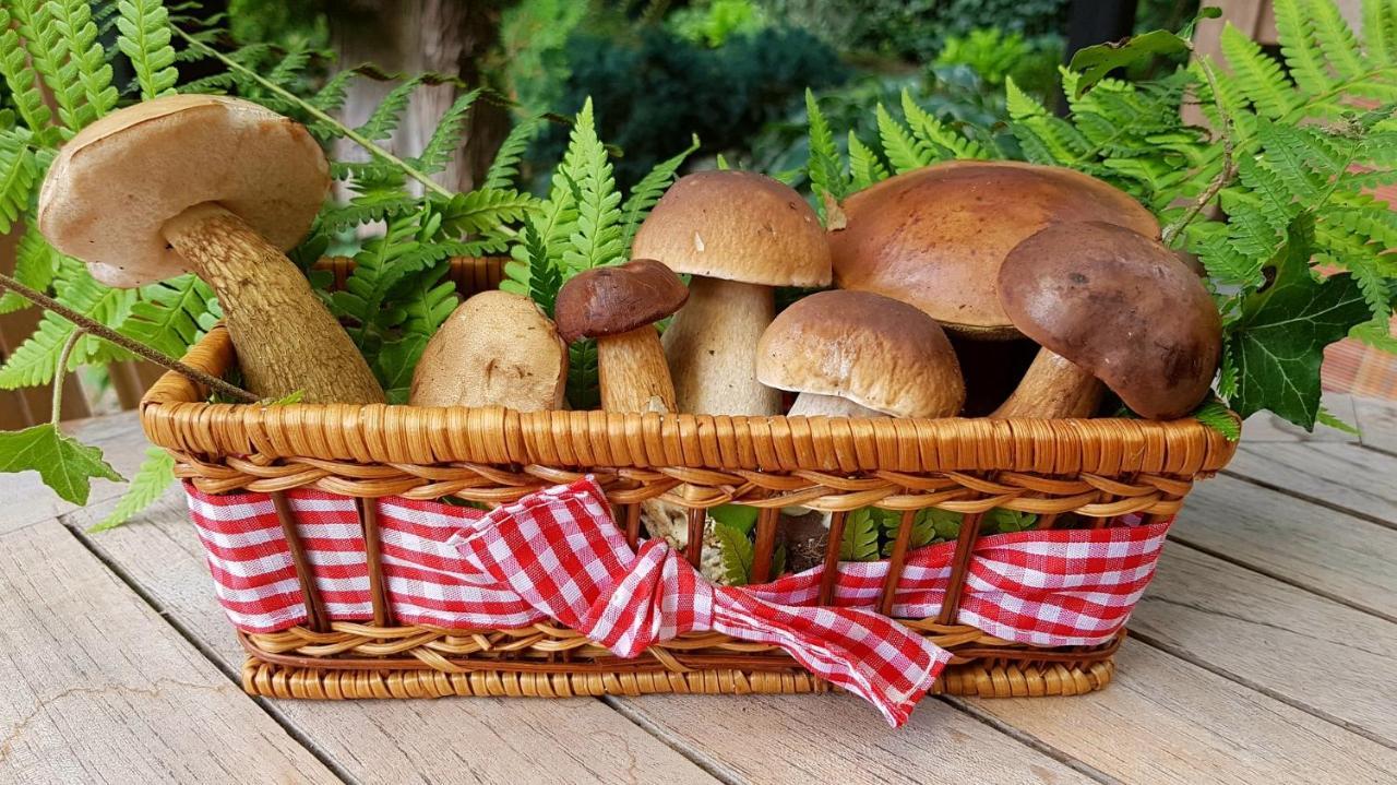 Гостевой дом Casa De La Panaderia Лос-Навалусильос Экстерьер фото